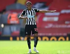 包含纽卡斯尔转会期战术微调，志在CBA常规赛名次提升，球迷炸锅，心理建设被强调的词条